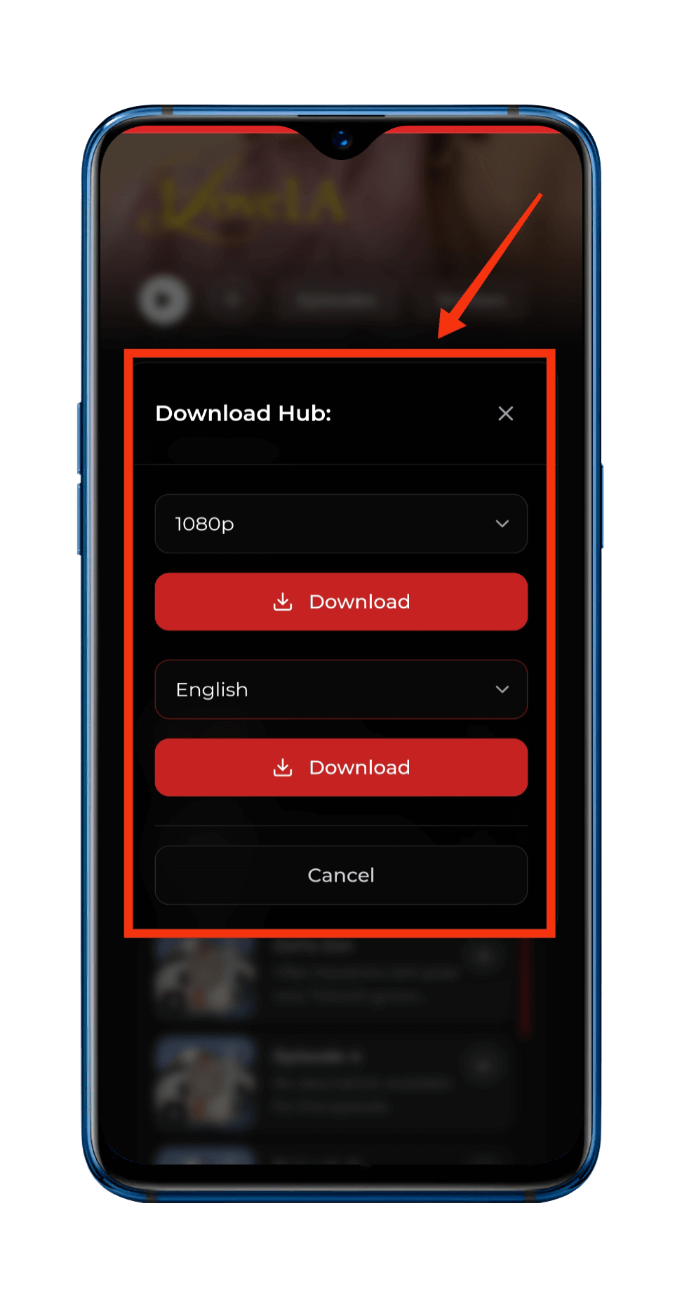Offline Download Feature