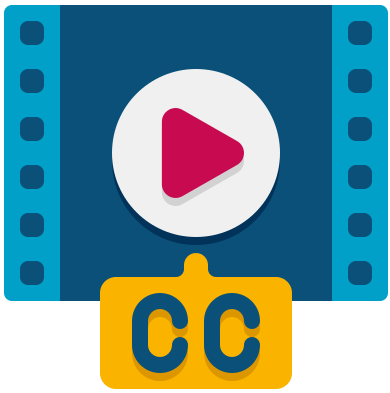 Multi-Language Subtitle Support